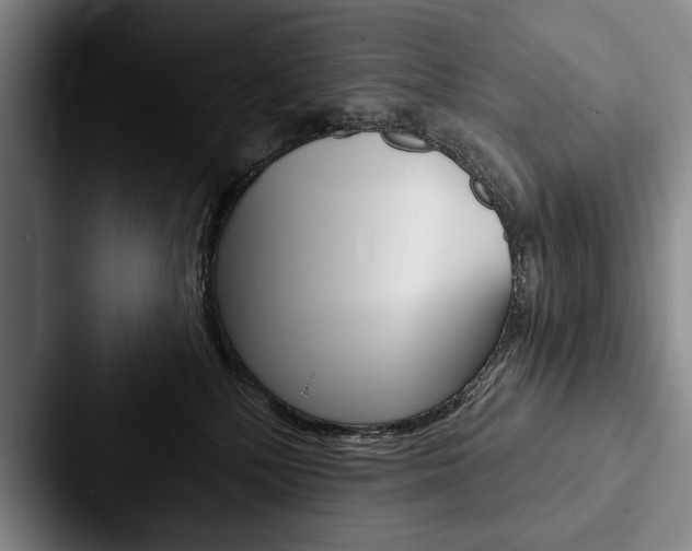 X0000088060232200705110920