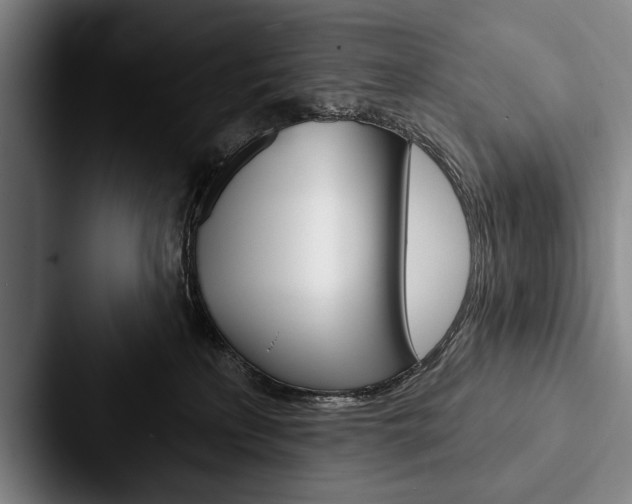 X0000088060233200705110920