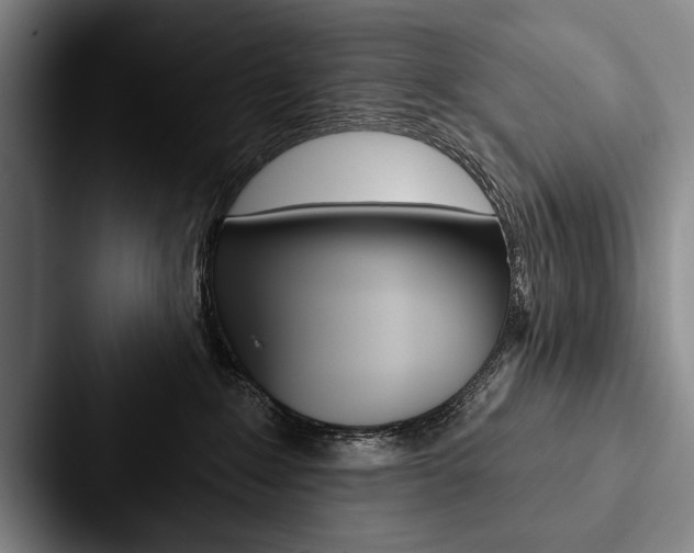 X0000088060235200705110920
