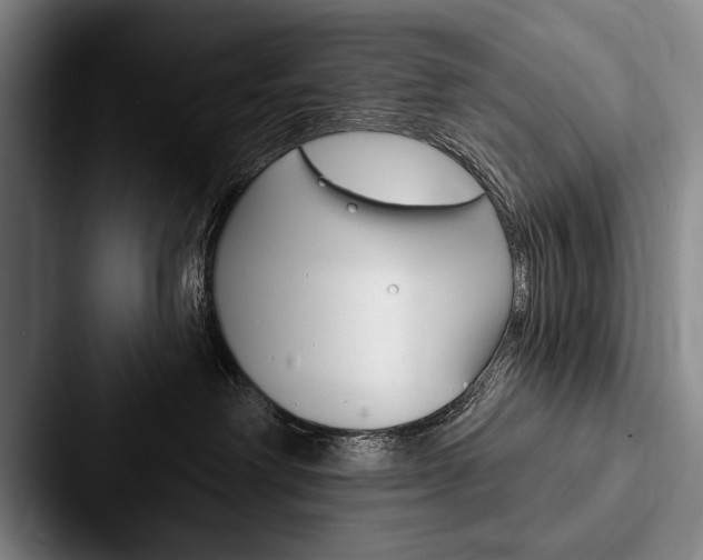 X0000088060238200705110920