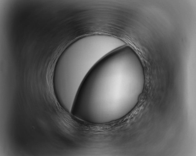 X0000088060241200705110919
