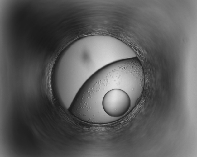 X0000088060242200705110919