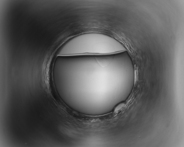 X0000088060243200705110919