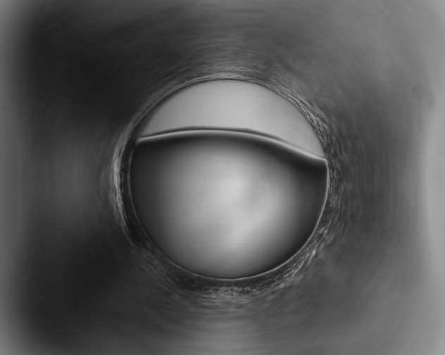 X0000088060244200705110919