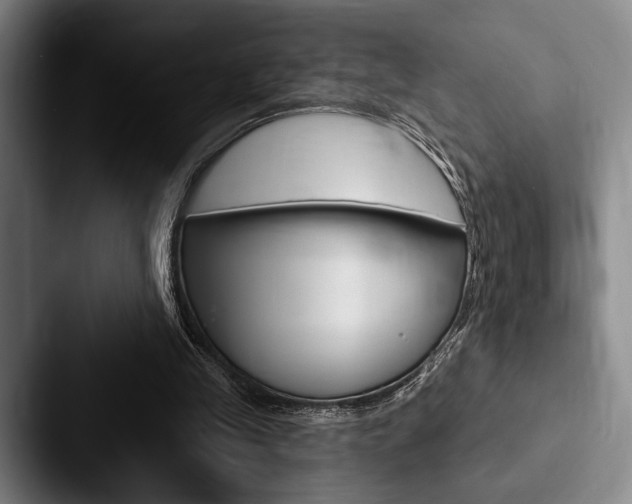 X0000088060245200705110919