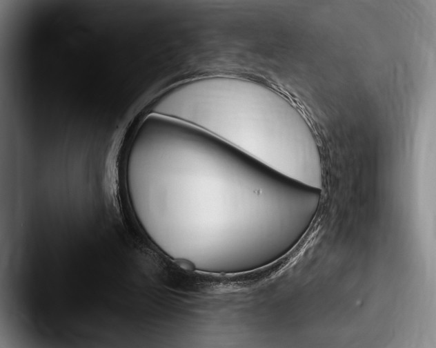 X0000088060246200705110919