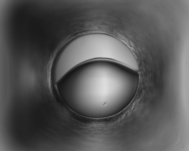 X0000088060248200705110919