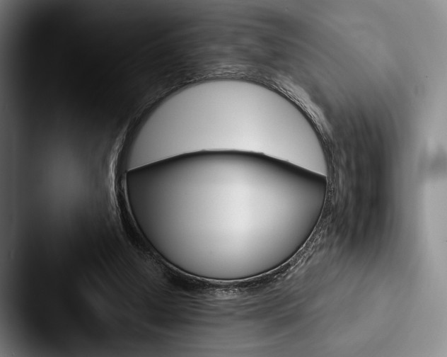 X0000088060250200705110919