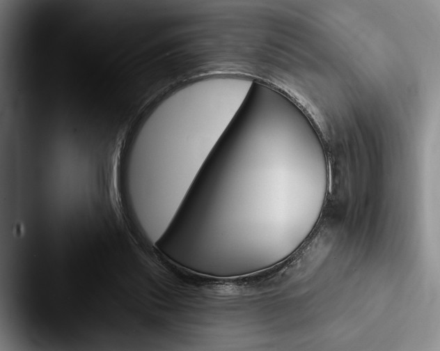 X0000088060253200705110919