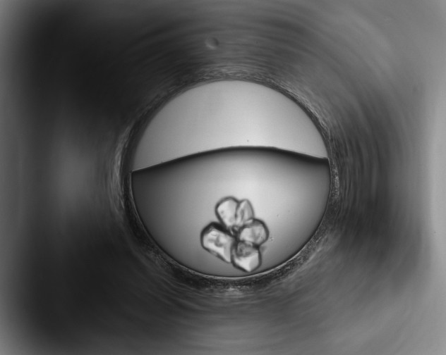 X0000088060254200705110919