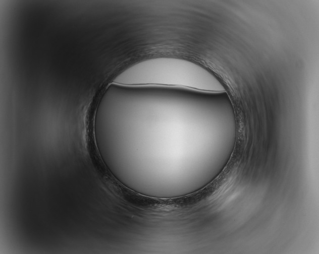 X0000088060255200705110919