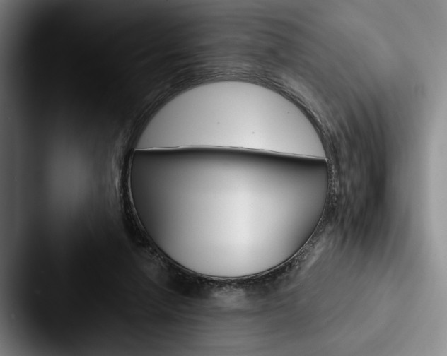 X0000088060258200705110919
