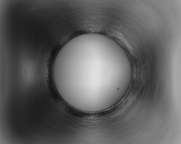 X0000088060259200705110919