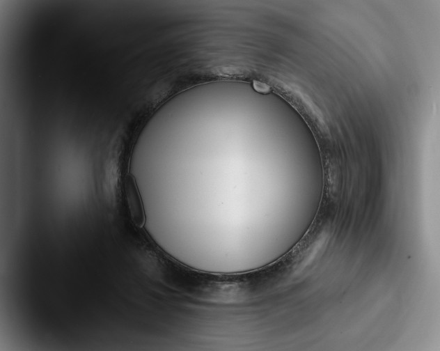 X0000088060260200705110919