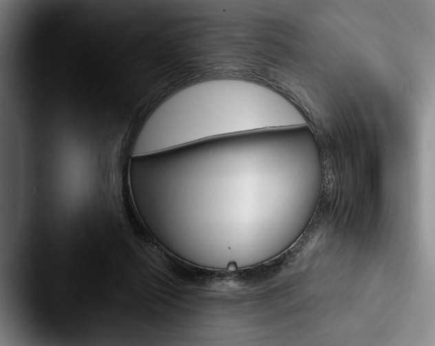 X0000088060262200705110919