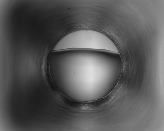 X0000088060264200705110919