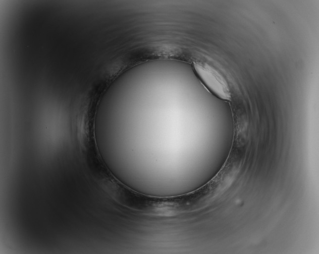X0000088060268200705110919