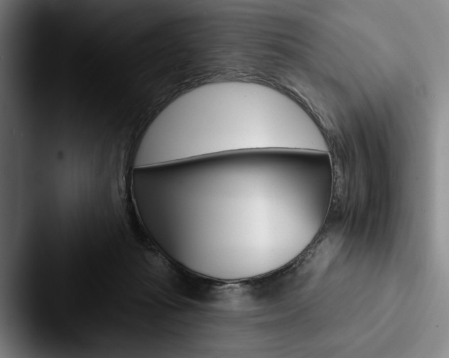 X0000088060269200705110919