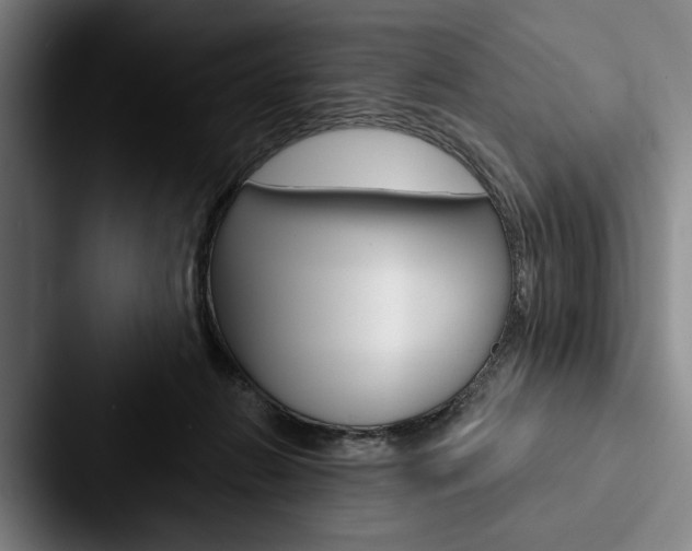 X0000088060270200705110919