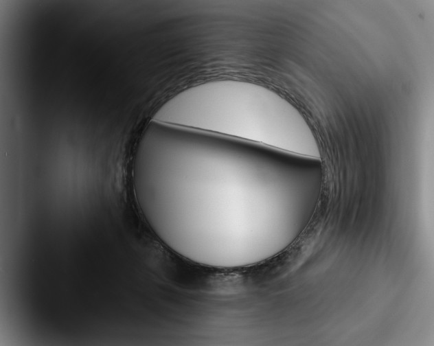 X0000088060271200705110919