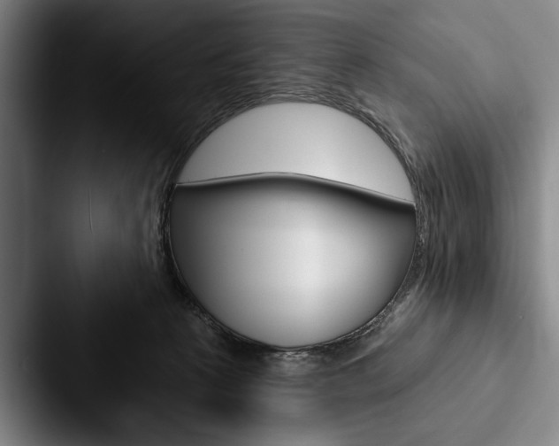X0000088060273200705110919