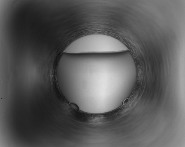 X0000088060274200705110919