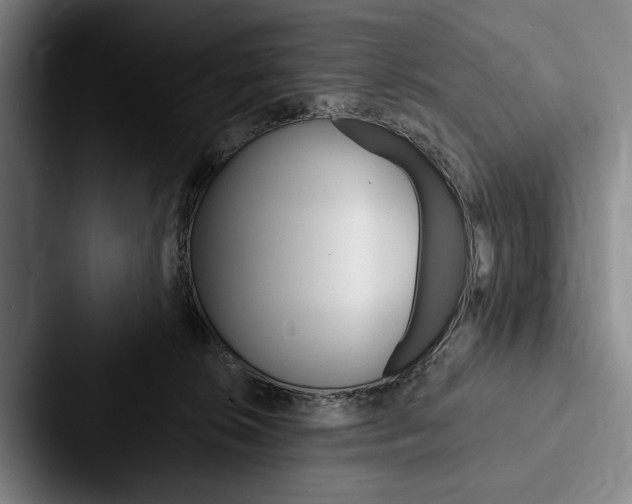 X0000088060276200705110920