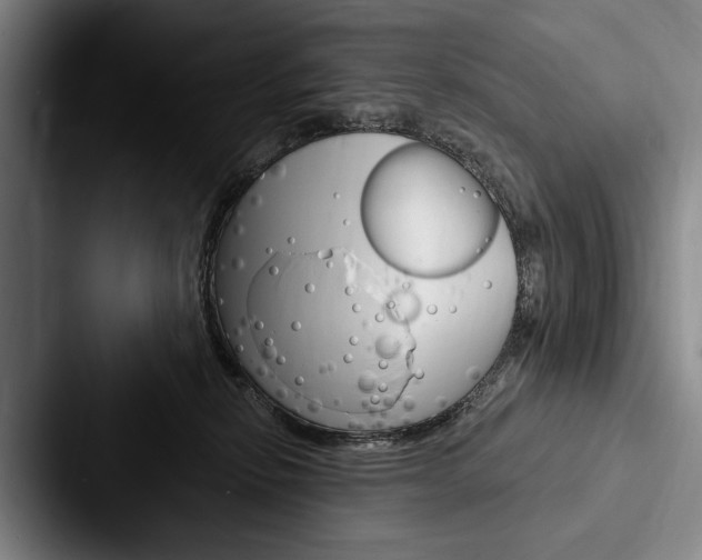 X0000088060278200705110920