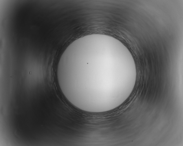 X0000088060280200705110920