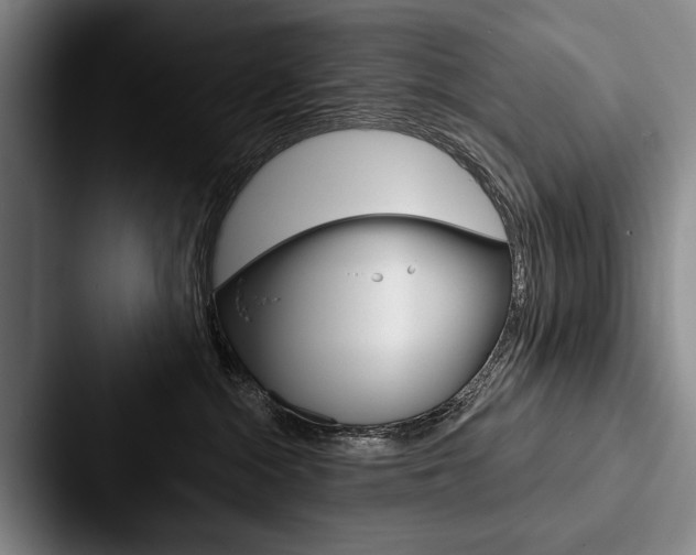 X0000088060284200705110920