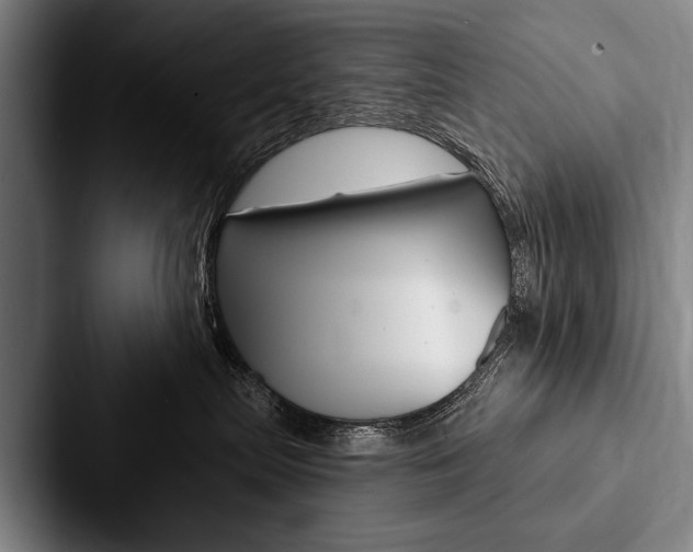 X0000088060287200705110920