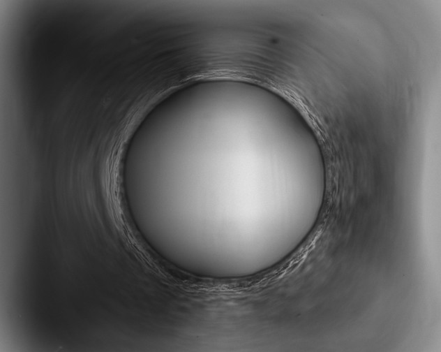 X0000088060289200705110919