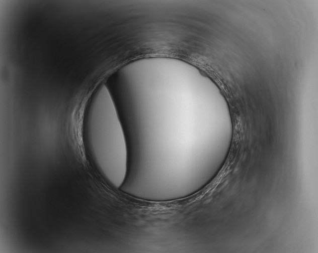 X0000088060290200705110919