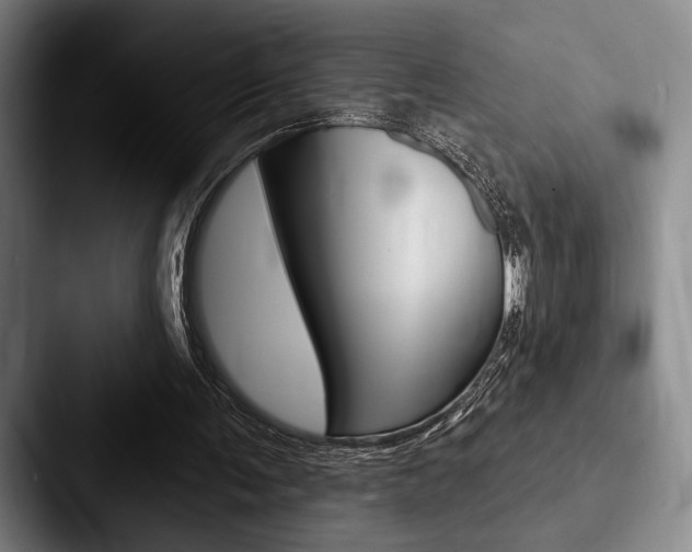 X0000088060291200705110919