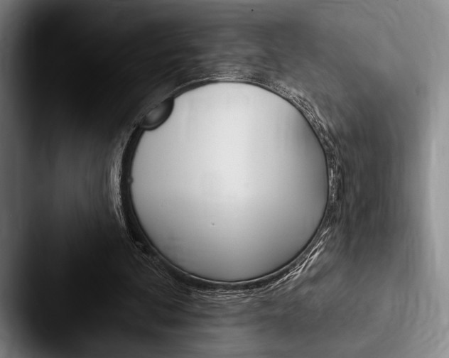 X0000088060292200705110919