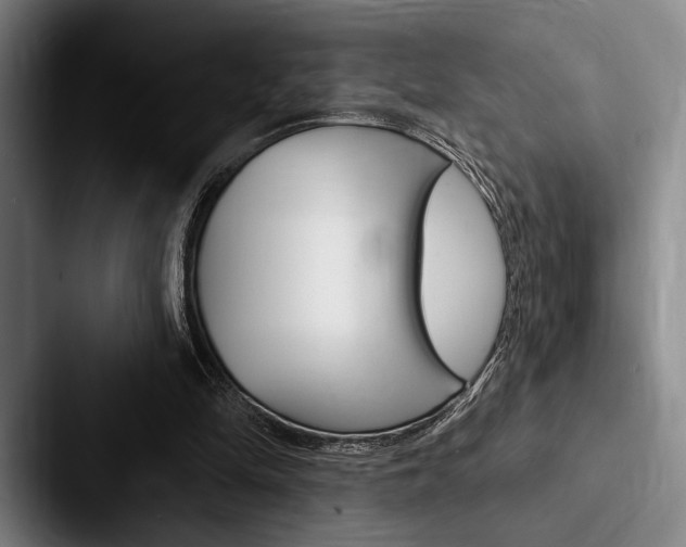 X0000088060294200705110919