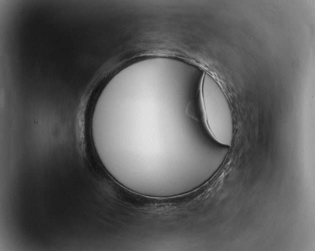X0000088060296200705110919