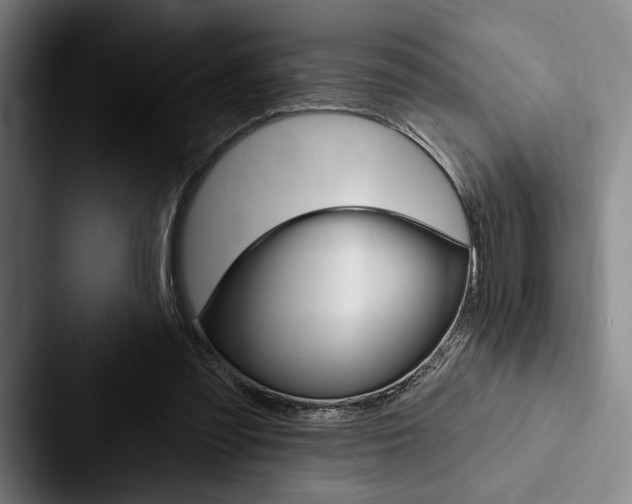 X0000088060301200705110919