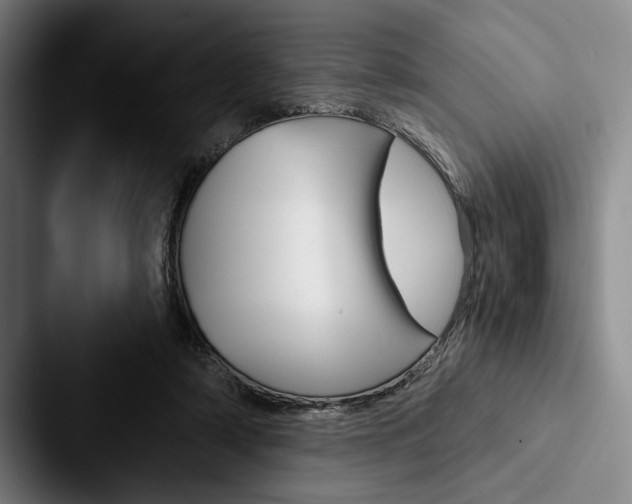 X0000088060306200705110919