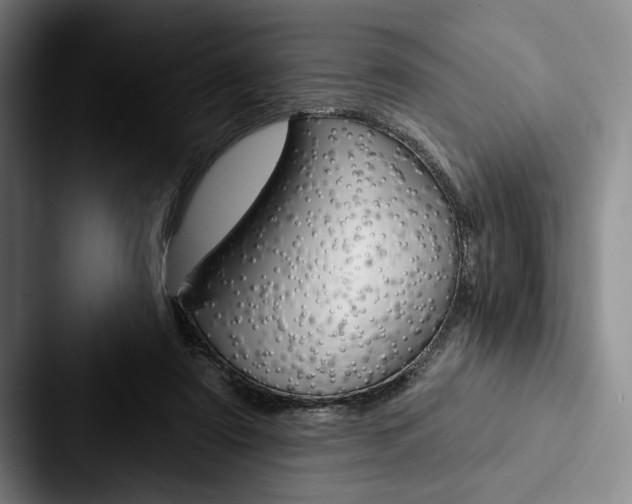 X0000088060307200705110919