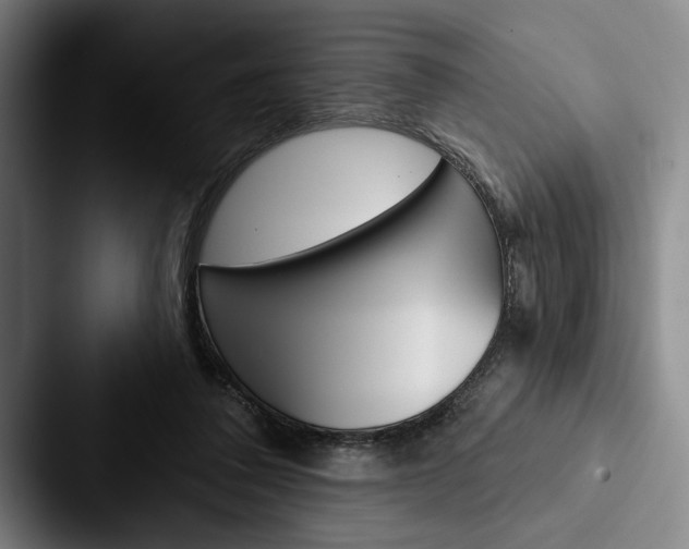 X0000088060308200705110919