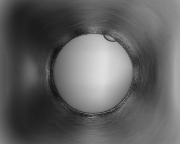 X0000088060310200705110919