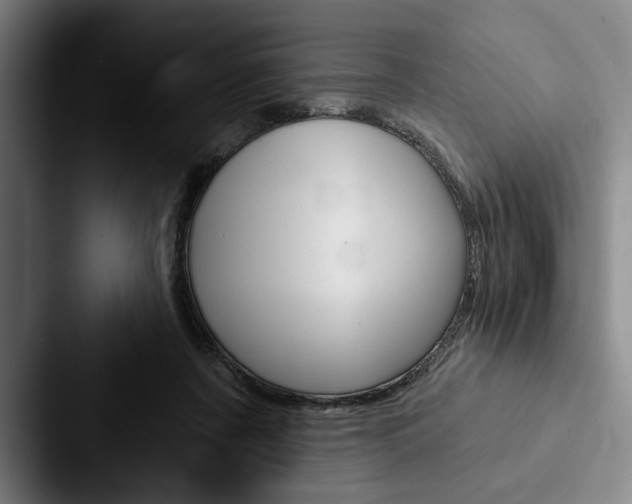 X0000088060311200705110919