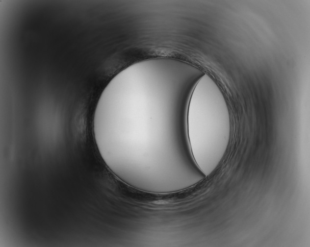 X0000088060312200705110919