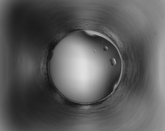 X0000088060313200705110919