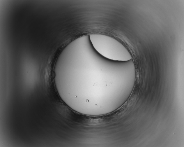 X0000088060314200705110919