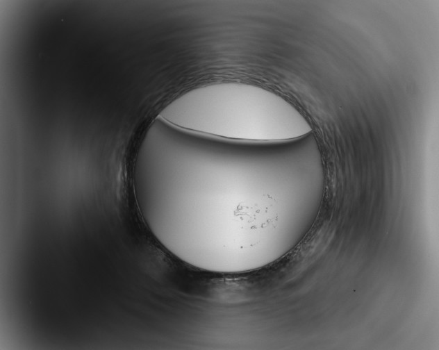 X0000088060320200705110919