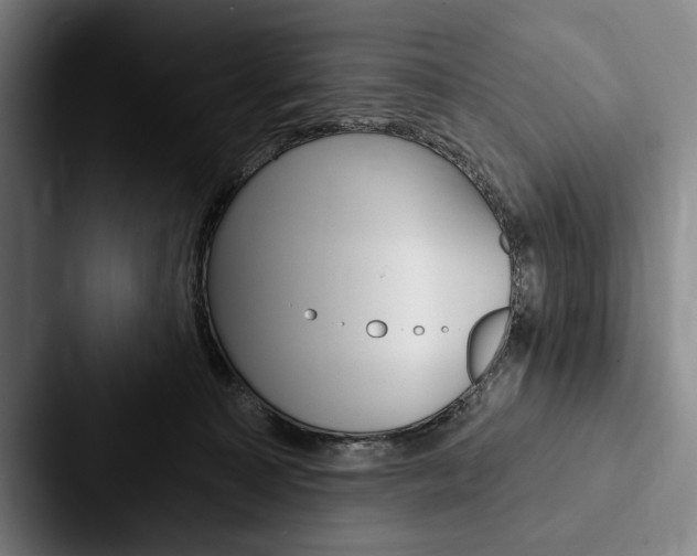 X0000088060323200705110919
