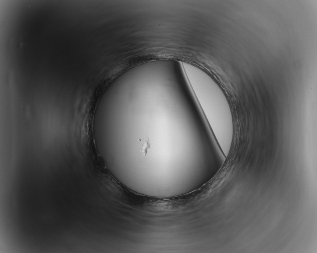 X0000088060325200705110919