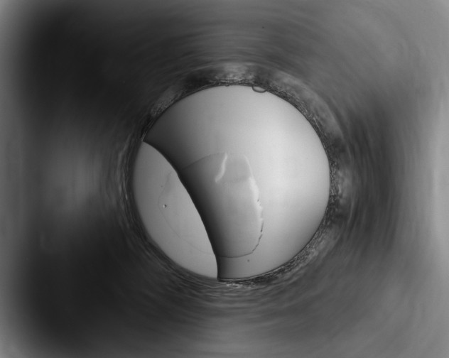 X0000088060326200705110919
